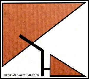 Ghassan Nawfal_logo